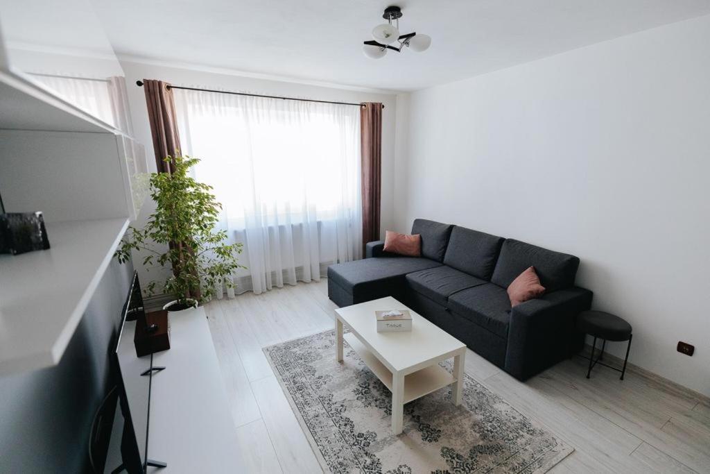 Апартаменты Scandinavian House Тыргу-Жиу Экстерьер фото